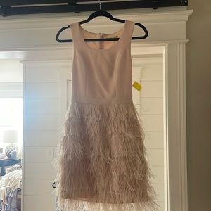 Giani Bini Dresses | Pink Feather Dress | Color: Pink | Size: XS